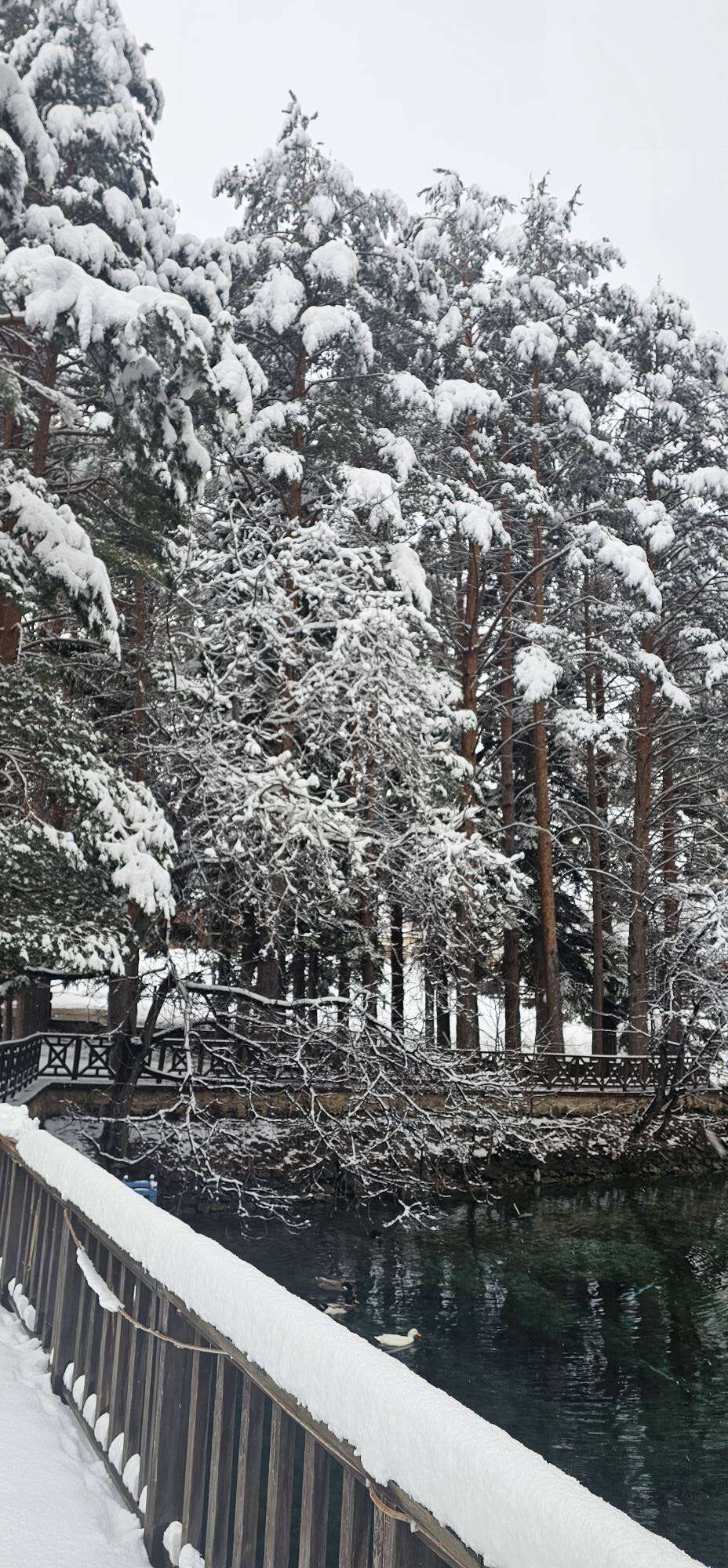 Konya’da kar kalınlığının 1 metreye yaklaştığı ilçe şölen sunuyor 29